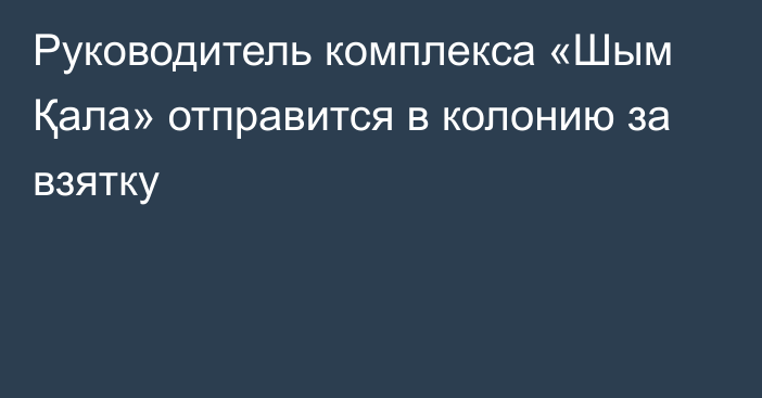 Руководитель комплекса «Шым Қала» отправится в колонию за взятку