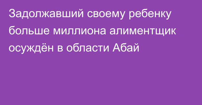 Задолжавший своему ребенку больше миллиона алиментщик осуждён в области Абай