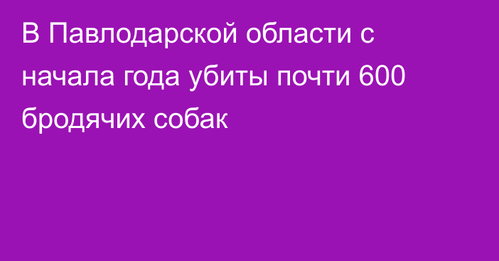 В Павлодарской области с начала года убиты почти 600 бродячих собак