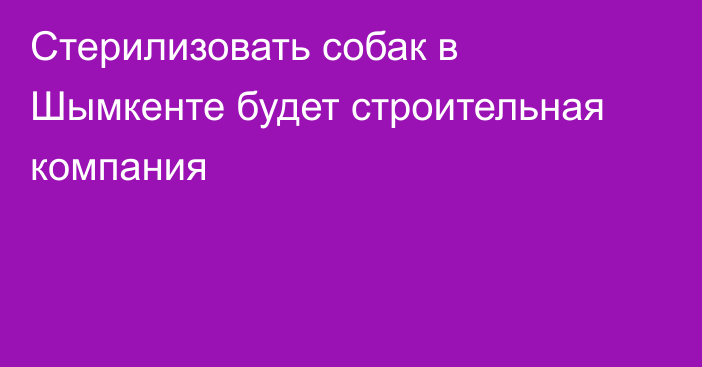 Стерилизовать собак в Шымкенте будет строительная компания