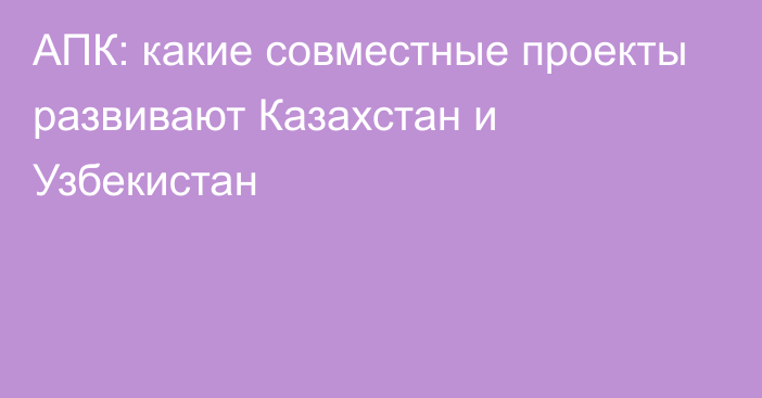 АПК: какие совместные проекты развивают Казахстан и Узбекистан