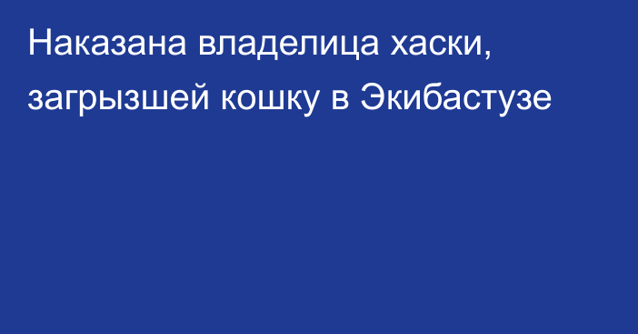 Наказана владелица хаски, загрызшей кошку в Экибастузе