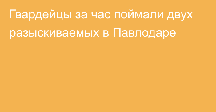 Гвардейцы за час поймали двух разыскиваемых в Павлодаре