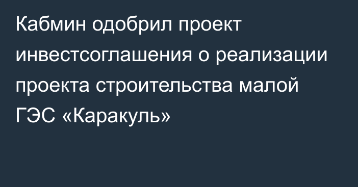 Кабмин одобрил проект инвестсоглашения о реализации проекта строительства малой ГЭС «Каракуль»