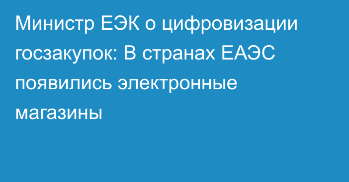 Министр ЕЭК о цифровизации госзакупок: В странах ЕАЭС появились электронные магазины