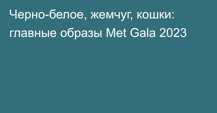 Черно-белое, жемчуг, кошки: главные образы Met Gala 2023