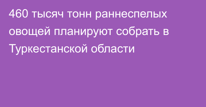 460 тысяч тонн раннеспелых овощей планируют собрать в Туркестанской области