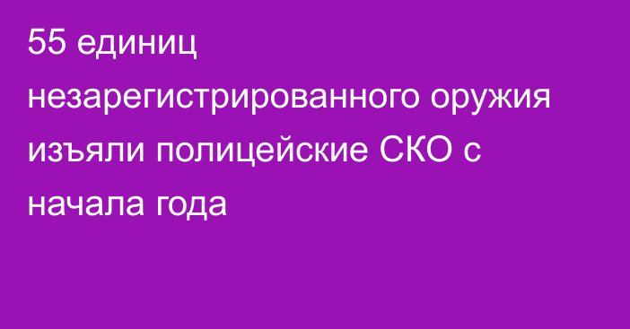 55 единиц незарегистрированного оружия изъяли полицейские СКО с начала года