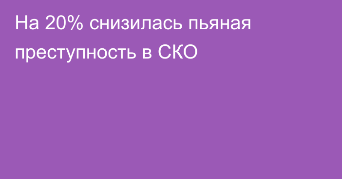 На 20% снизилась пьяная преступность в СКО