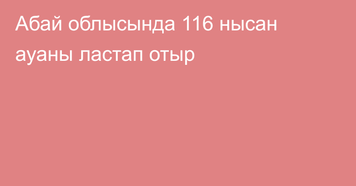 Абай облысында 116 нысан ауаны ластап отыр