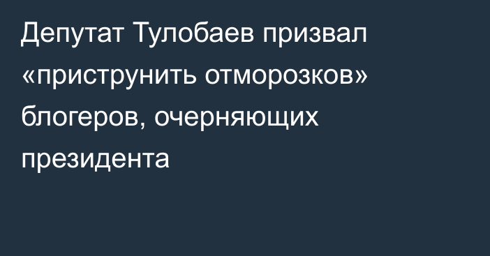 Депутат Тулобаев призвал «приструнить отморозков» блогеров, очерняющих президента