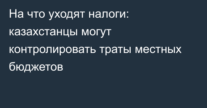 На что уходят налоги: казахстанцы могут контролировать траты местных бюджетов