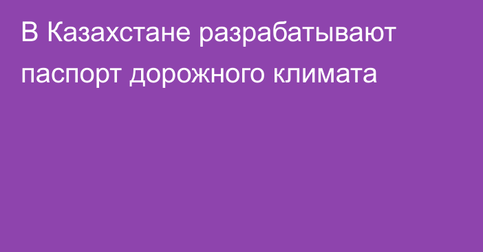 В Казахстане разрабатывают паспорт дорожного климата