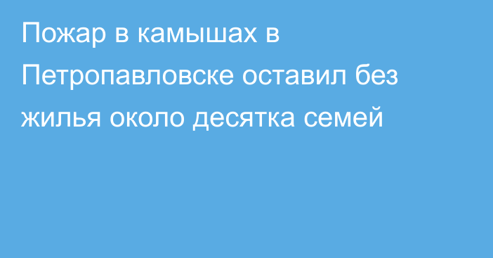 Пожар в камышах в Петропавловске оставил без жилья около десятка семей