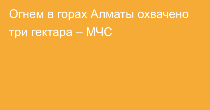 Огнем в горах Алматы охвачено три гектара – МЧС