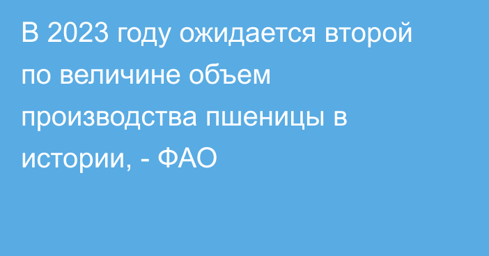 В 2023 году ожидается второй по величине объем производства пшеницы в истории, - ФАО