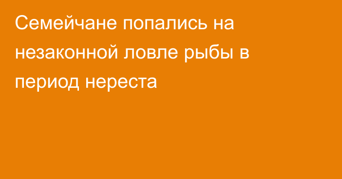 Семейчане попались на незаконной ловле рыбы в период нереста