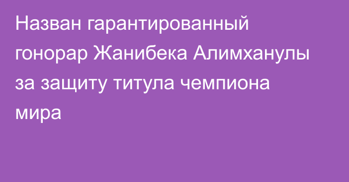 Назван гарантированный гонорар Жанибека Алимханулы за защиту титула чемпиона мира