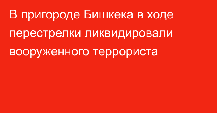 В пригороде Бишкека в ходе перестрелки ликвидировали вооруженного террориста