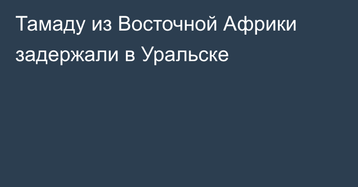 Тамаду из Восточной Африки задержали в Уральске