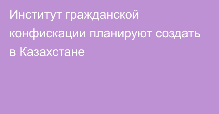 Институт гражданской конфискации планируют создать в Казахстане