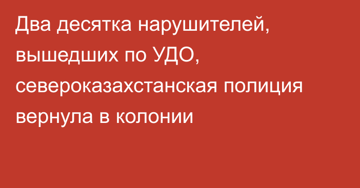 Два десятка нарушителей, вышедших по УДО, североказахстанская полиция вернула в колонии