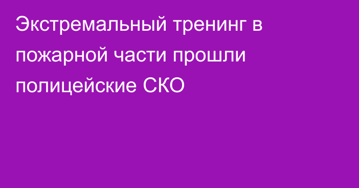 Экстремальный тренинг в пожарной части прошли полицейские СКО