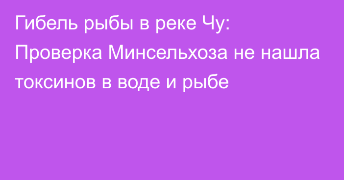 Гибель рыбы в реке Чу: Проверка Минсельхоза не нашла токсинов в воде и рыбе