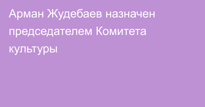 Арман Жудебаев назначен председателем Комитета культуры