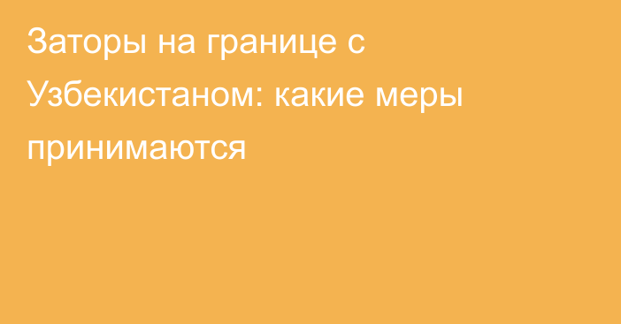 Заторы на границе с Узбекистаном: какие меры принимаются