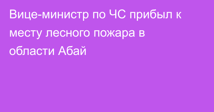 Вице-министр по ЧС прибыл к месту лесного пожара в области Абай