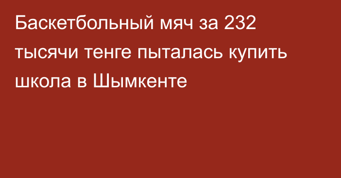 Баскетбольный мяч за 232 тысячи тенге пыталась купить школа в Шымкенте