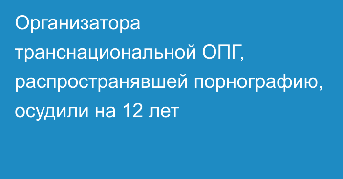 Организатора транснациональной ОПГ, распространявшей порнографию, осудили на 12 лет