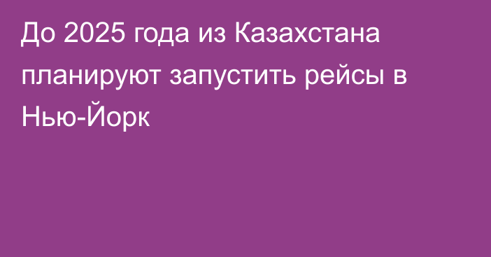 До 2025 года из Казахстана планируют запустить рейсы в Нью-Йорк