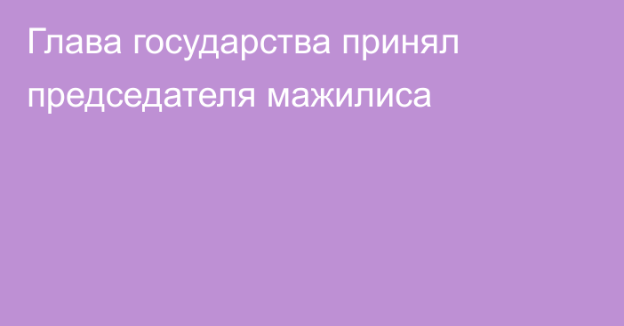 Глава государства принял председателя мажилиса