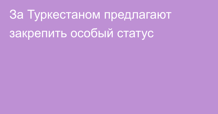 За Туркестаном предлагают закрепить особый статус