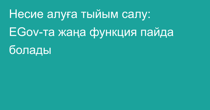 Несие алуға тыйым салу: ЕGov-та жаңа функция пайда болады