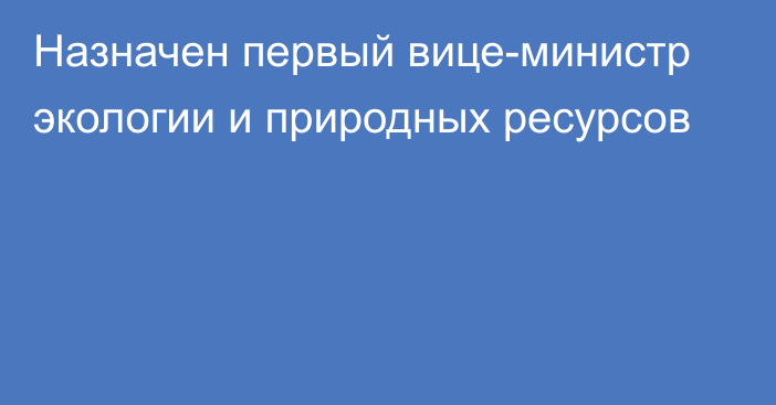 Назначен первый вице-министр экологии и природных ресурсов