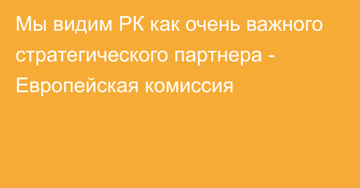 Мы видим РК как очень важного стратегического партнера - Европейская комиссия