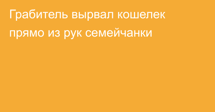 Грабитель вырвал кошелек прямо из рук семейчанки