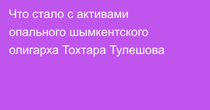 Что стало с активами опального шымкентского олигарха Тохтара Тулешова