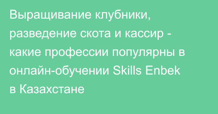 Выращивание клубники, разведение скота и кассир - какие профессии популярны в онлайн-обучении Skills Enbek в Казахстане