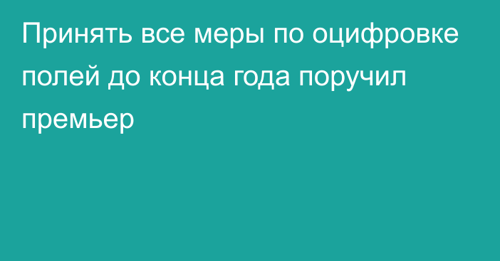 Принять все меры по оцифровке полей до конца года поручил премьер