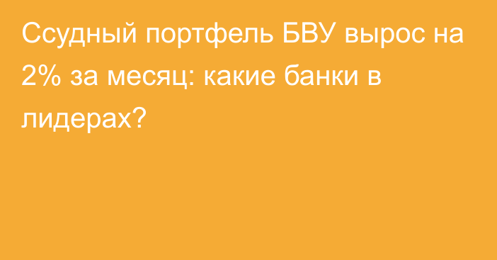 Ссудный портфель БВУ вырос на 2% за месяц: какие банки в лидерах?