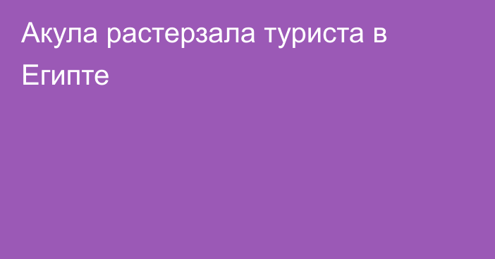 Акула растерзала туриста в Египте