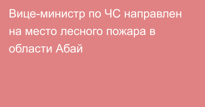 Вице-министр по ЧС направлен на место лесного пожара в области Абай