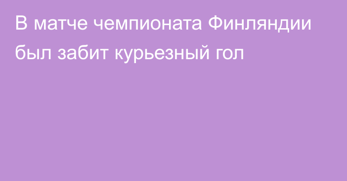 В матче чемпионата Финляндии был забит курьезный гол