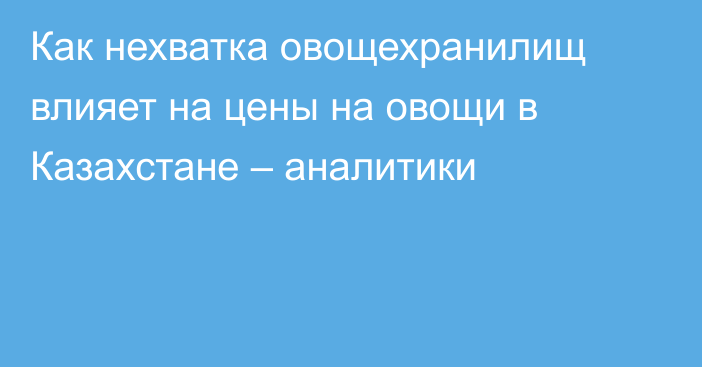 Как нехватка овощехранилищ влияет на цены на овощи в Казахстане – аналитики