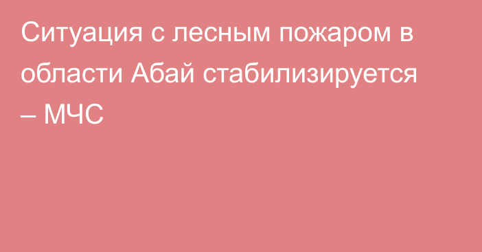 Ситуация с лесным пожаром в области Абай стабилизируется – МЧС