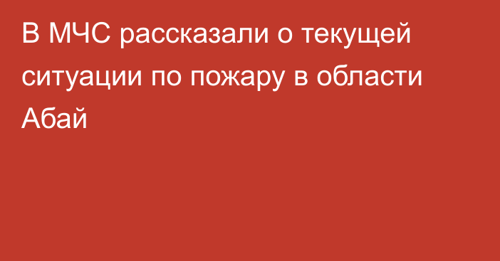 В МЧС рассказали о текущей ситуации по пожару в области Абай